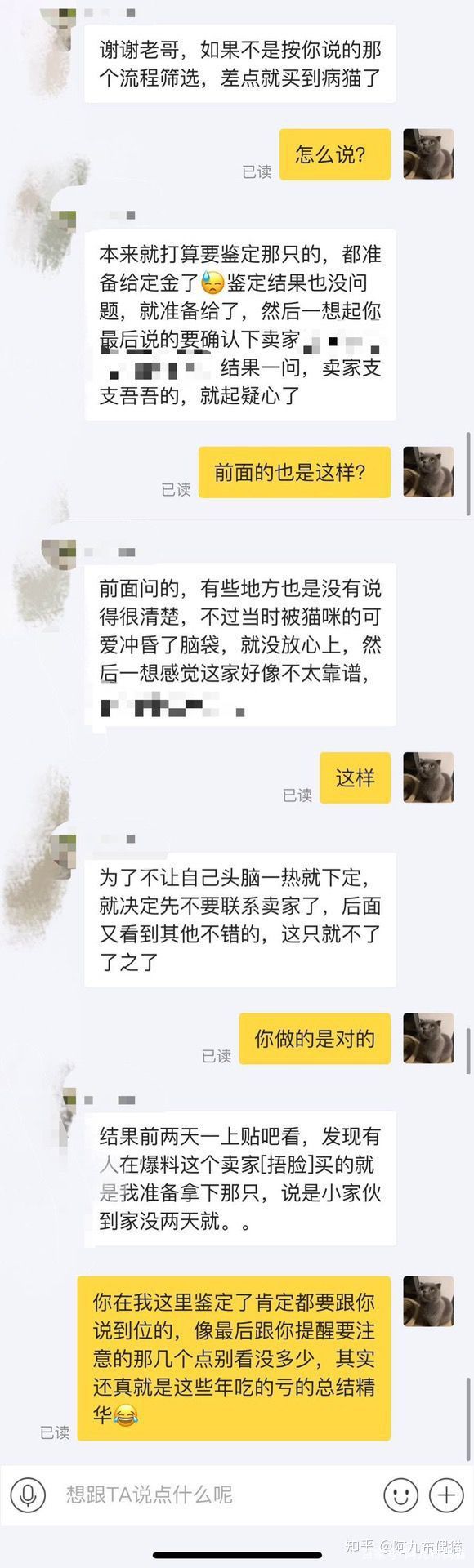 布偶猫舍推荐买什么猫粮,正规布偶猫舍推荐及其地理位置