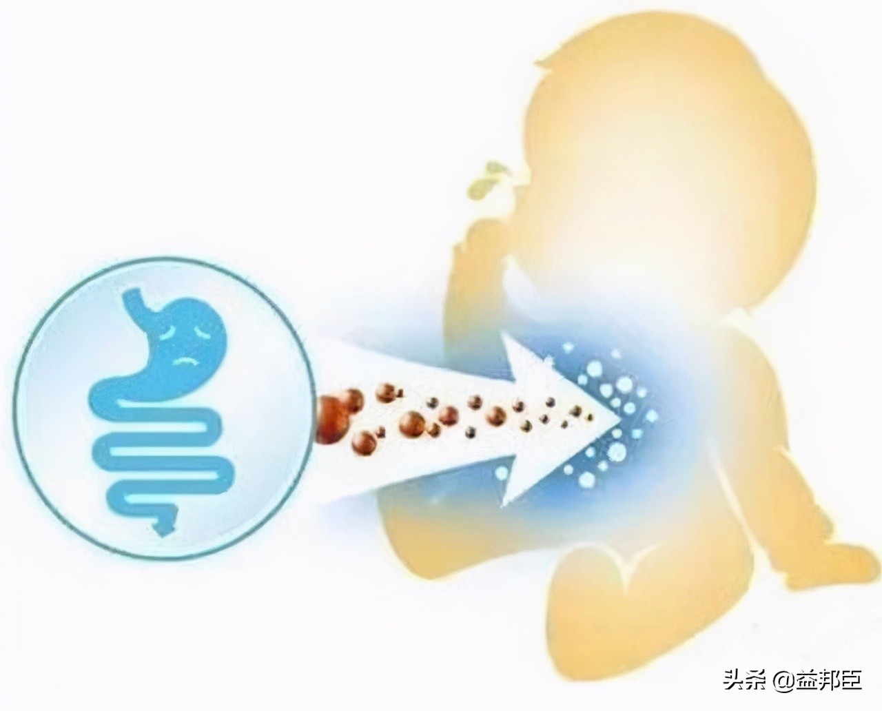 益生菌种类与对应的病症,益生菌的相关问题