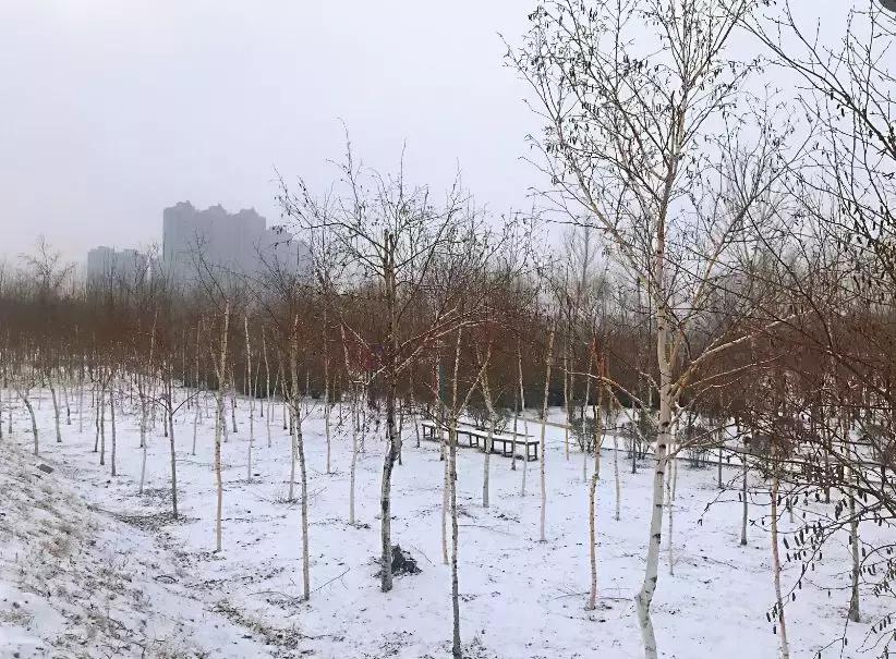 2019宽城“北3.5环”,破困脱缰。