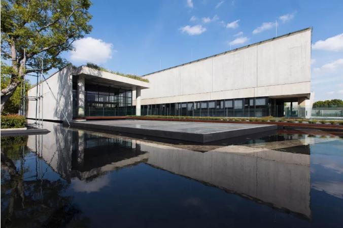 上海新晋10所黑马小学大盘点,上海最出名的十所小学