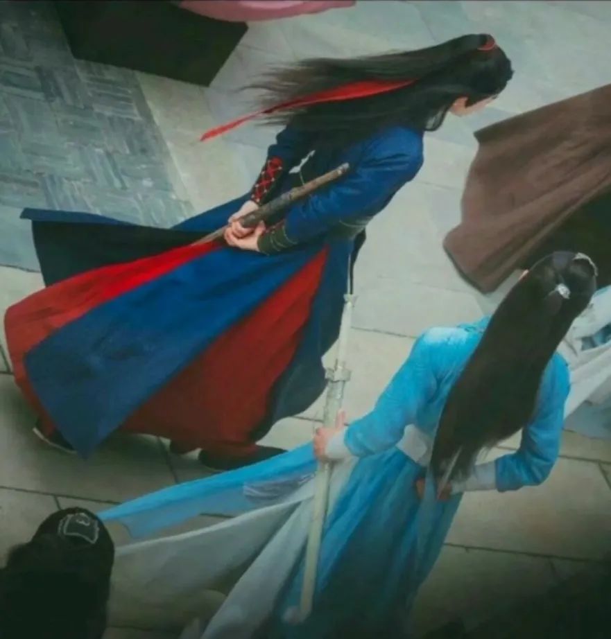 多肉初级入坑者,入坑多肉