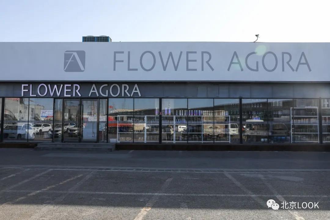 北京最大的露天花卉,北京最大的花卉大观园