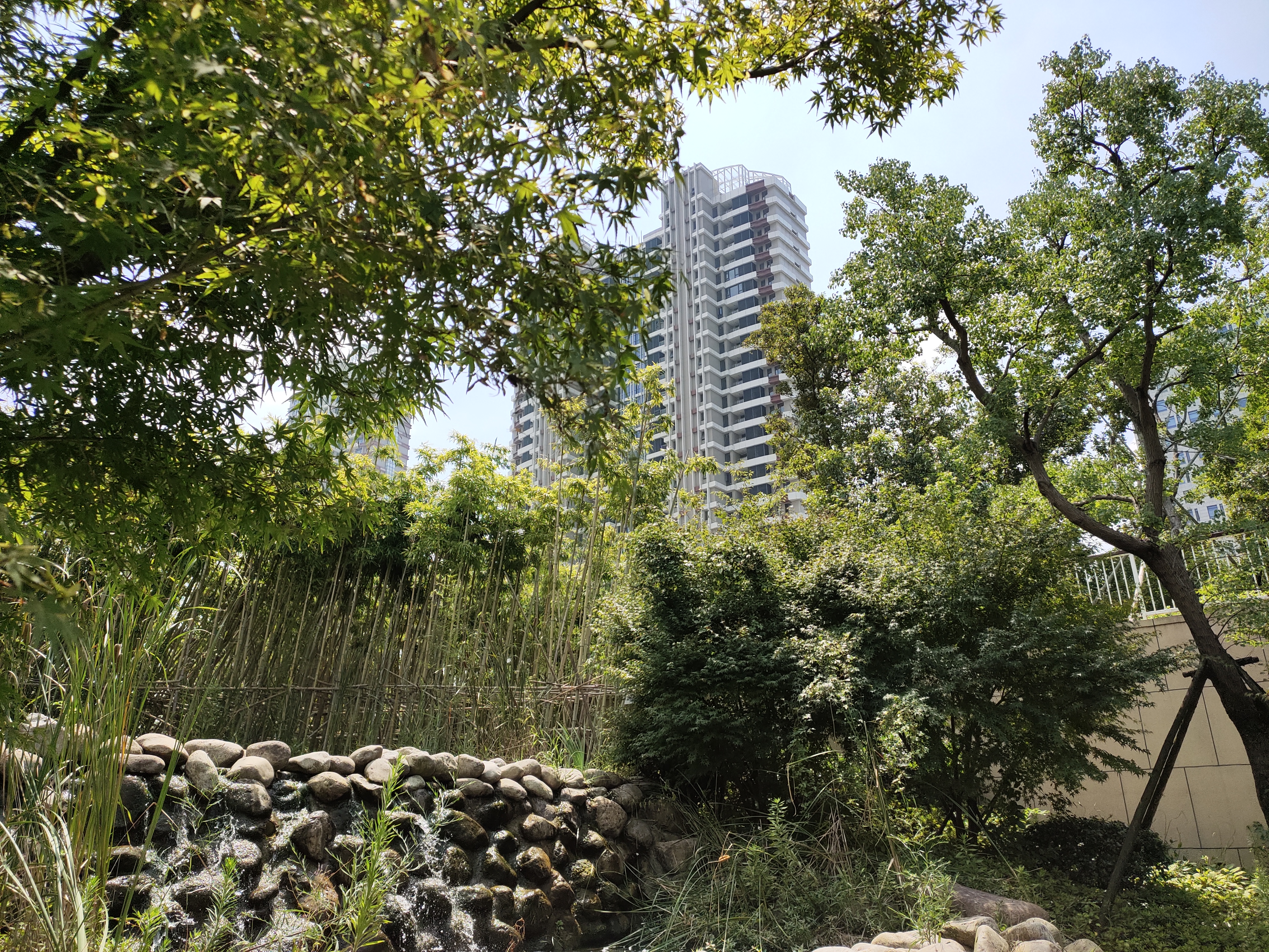 vivoz5到底值不值得入手,vivoz5值不值得学生党用