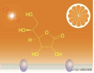 孕妇维生素补剂推荐,德国补血营养品孕妇