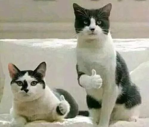 2018年农民人均纯收入预计超过14600元……