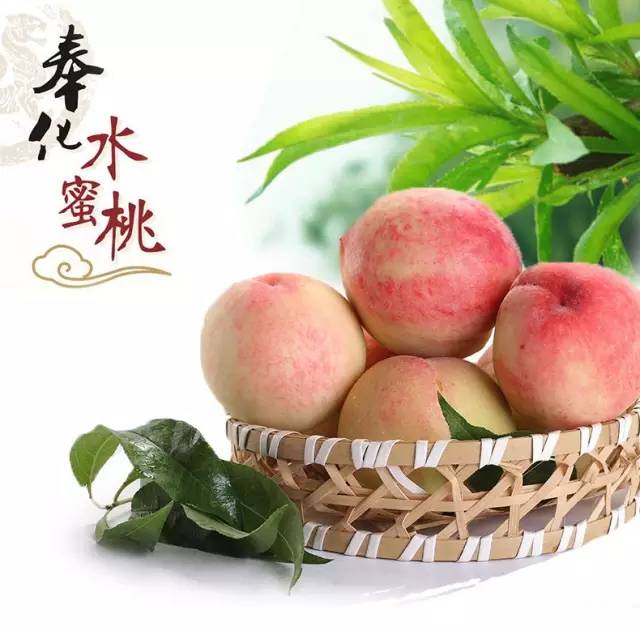 奉化水蜜桃和芋艿头,奉化芋艿头与芋艿子