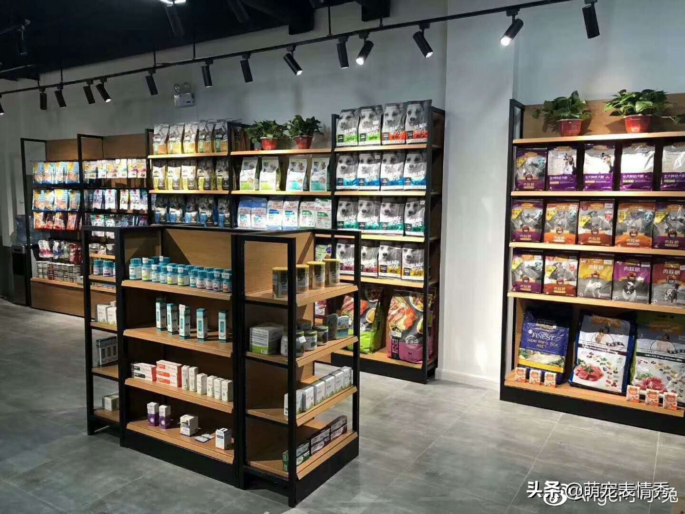开宠物店的优势和劣势,宠物店优势劣势