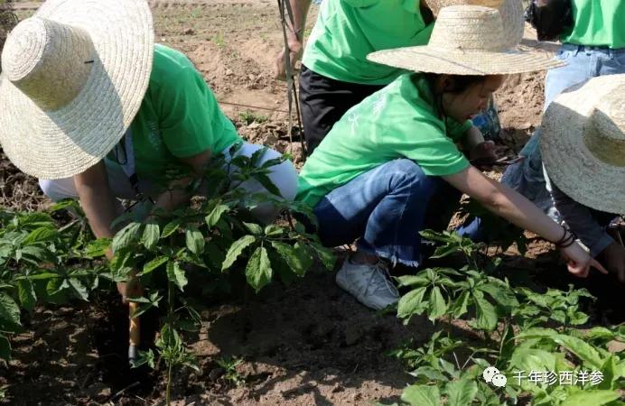 国大药房头条事件,国大药店事件