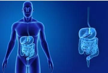 最新根除幽门螺杆菌方案,得了幽门螺杆菌可以彻底根治吗