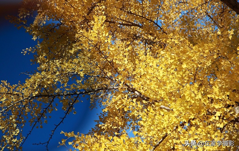 卡色uv镜和偏振镜哪个好,uv镜cpl偏光镜