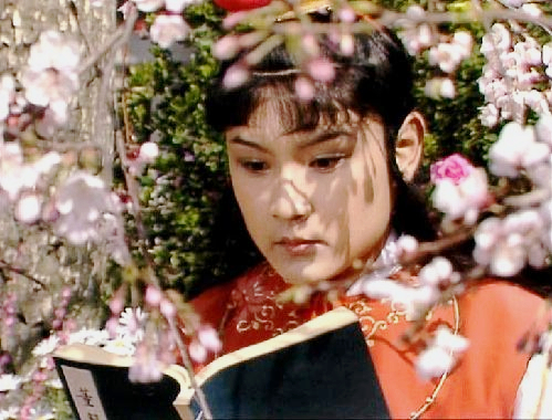 钗黛合一的真实事件,黛钗合一