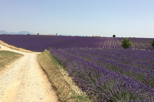世界各大旅游景点排名,世界十大国内著名景点