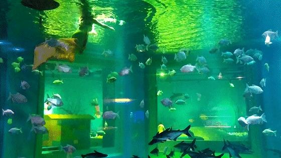 深圳十大暑假室内必去景点,深圳暑假值得带孩子旅游的地方