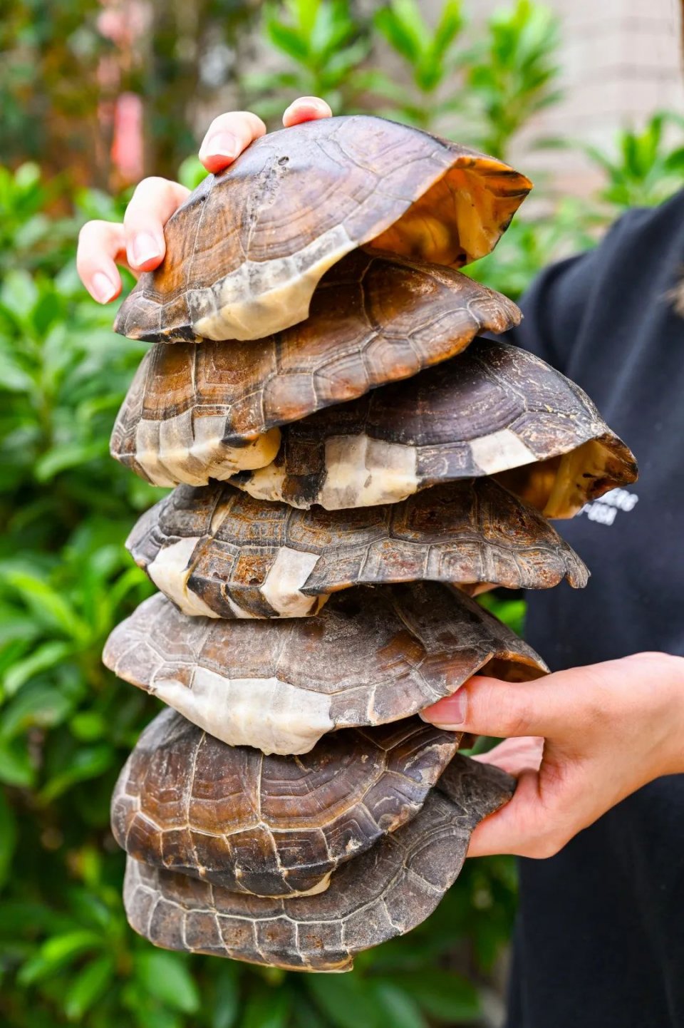 纯手工制作美食甜品,网红甜品推荐前十名制作方法