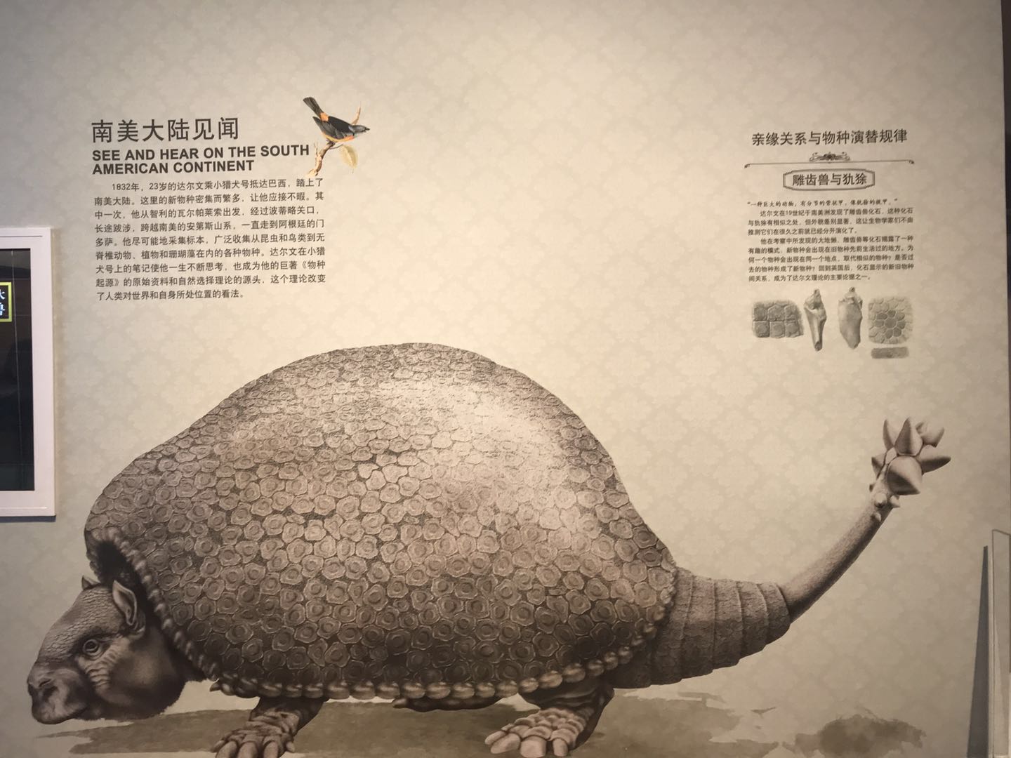 海洋博物馆带孩子游玩攻略,国家海洋博物馆最全攻略来了