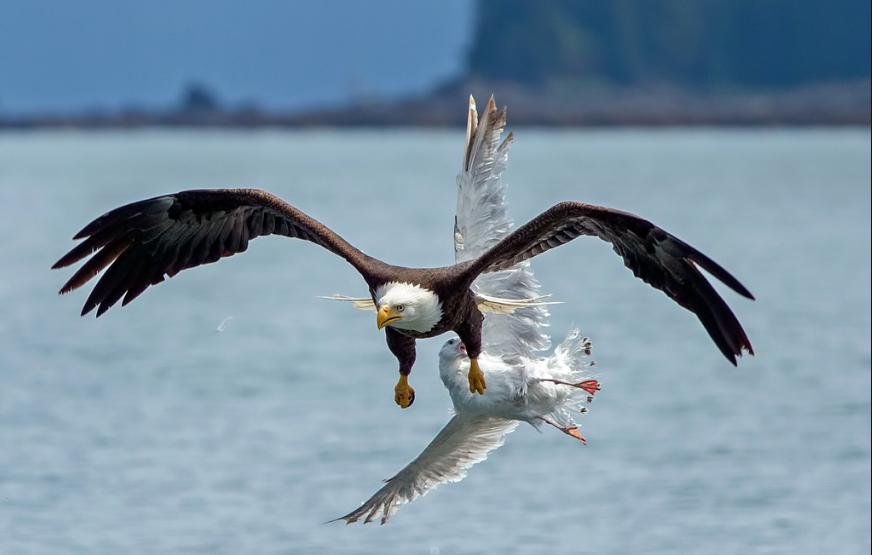 连云港宣传语是什么,连云区文旅宣传片