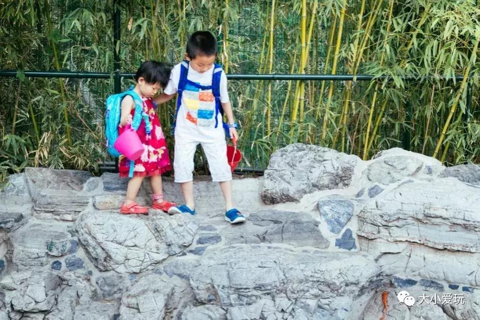 夏季遛娃便携好物,夏日带娃出游好物