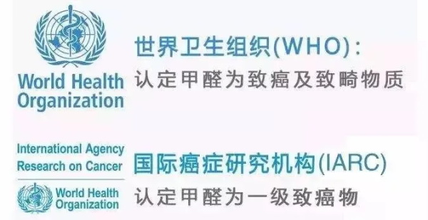 福庆木本豆甲醛含量是多少,福庆木本豆测试