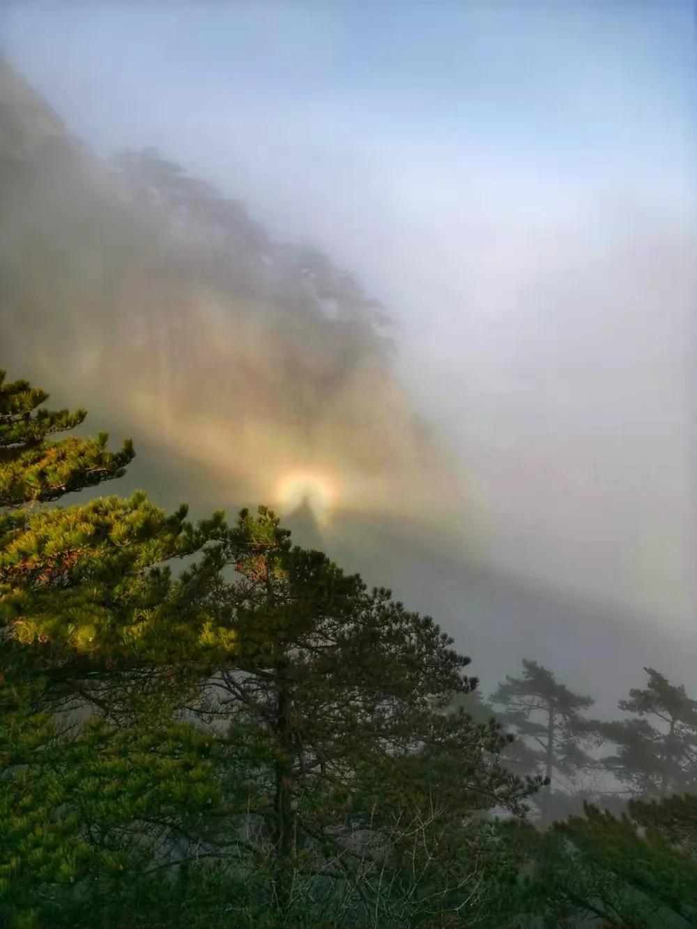 光明的前景的英文,光明前景