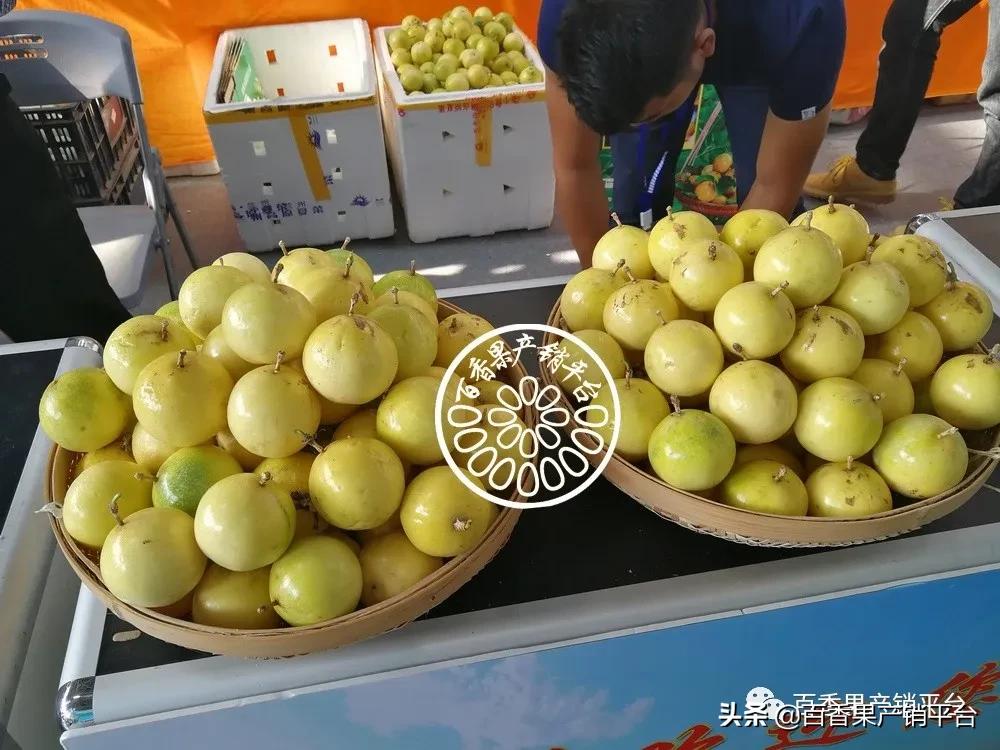 百香果卖苗套路,百香果销售渠道有哪些