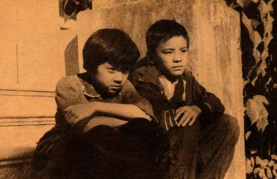 盘点娱乐圈十大童星,娱乐圈五大童星现状