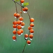 做人再穷不要丢掉原则,哪怕再穷做人的七条原则