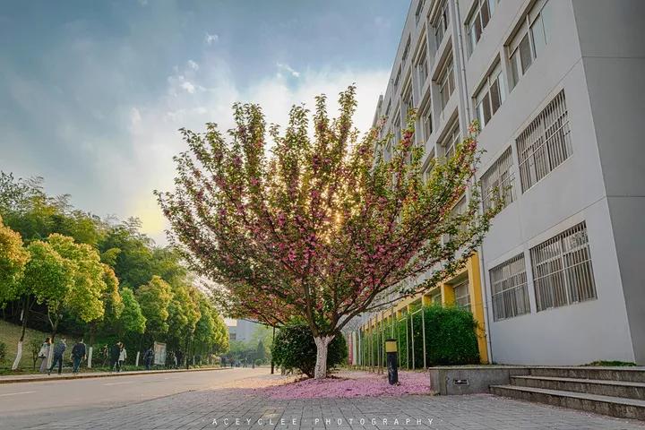 江苏省省长河海大学,江苏省河海大学