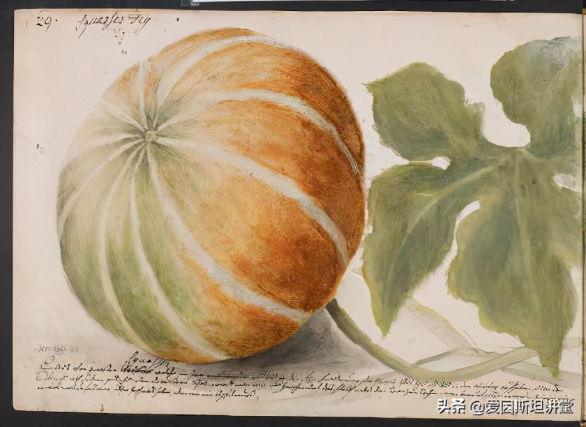 北美土著的日常是什么样子?这个年轻的殖民者一一画了下来