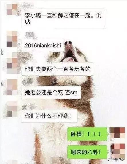 李雨桐薛之谦李小璐,陈羽凡薛之谦近况