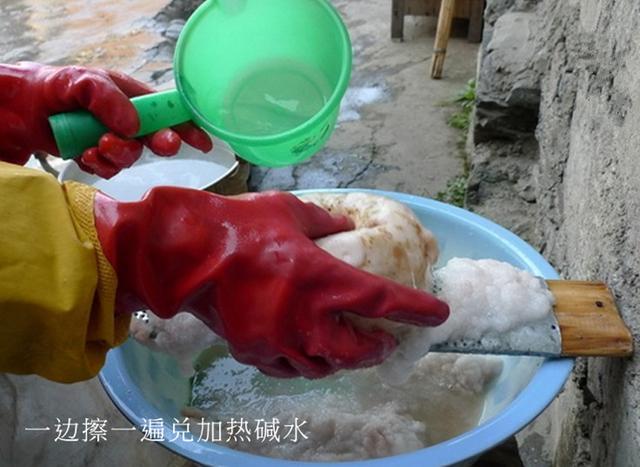 农村常见野生有毒植物,农村有毒的野果和植物