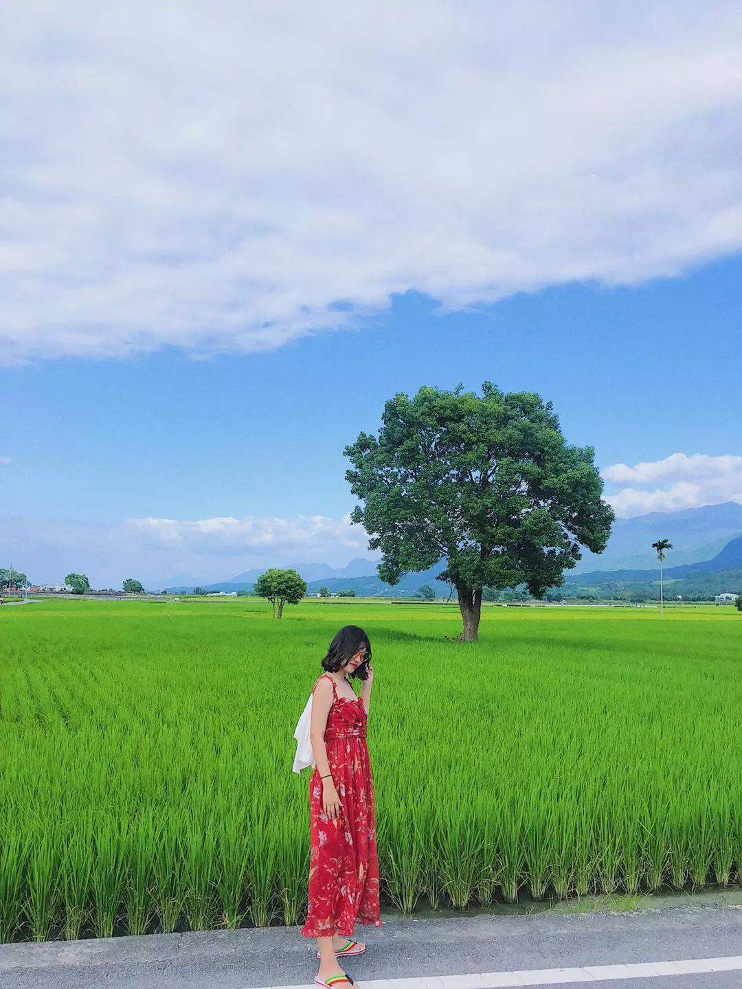 台湾自由行之台湾印象,台湾环岛深度纯玩