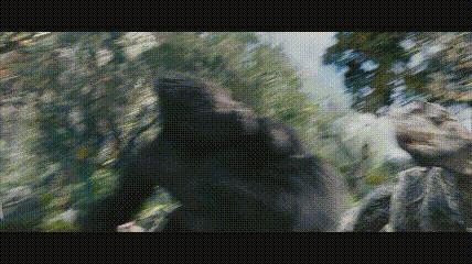 金刚电影各种怪兽排名,金刚骷髅岛大战怪兽电影