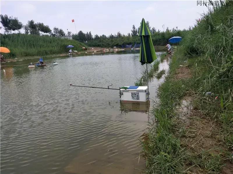 钓鱼日记第19天,钓鱼游钓日记100篇