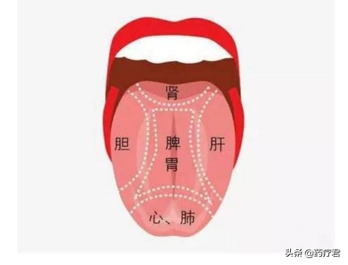 舌苔白而肥厚是什么原因,舌苔肥厚是什么意思