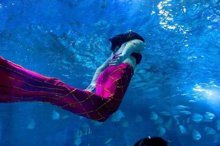 京津冀95元景点大全,京津冀99元景区