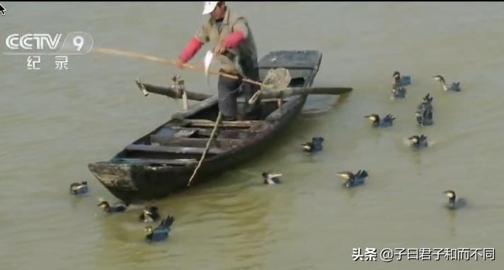 航拍中国江西完整版,航拍中国鄱阳湖