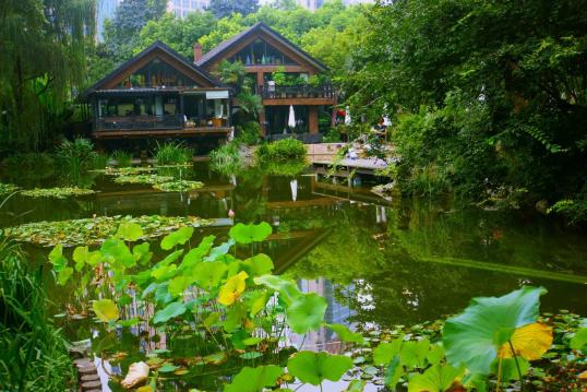 上海散步必去景点,上海公园免费好去处