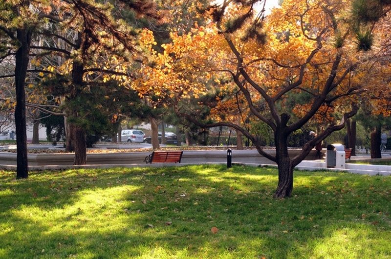 首都医科大学好还是985医学院校好,首都医科大学在医学院校排名