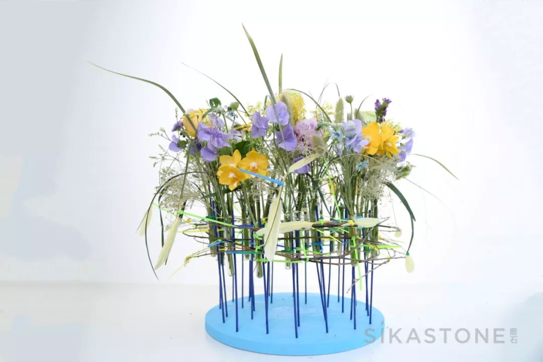 6天,教你用色彩“粉”碎所有不可能