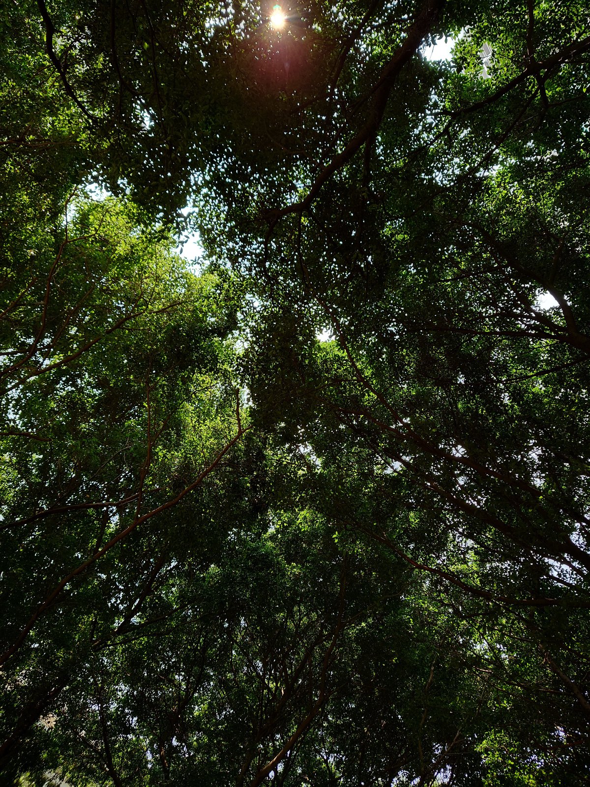 xperia1iii和xperia5iii区别,索尼xperia1iii微单微距