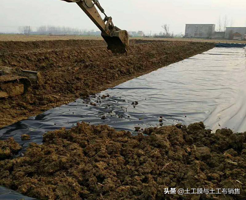 莲藕产业经济效益高的栽培模式-莲藕专用膜的投入与使用