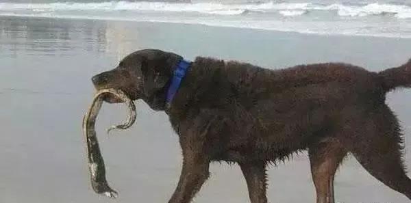 听老人讲过挨饿的故事,听老人讲挨饿的经历