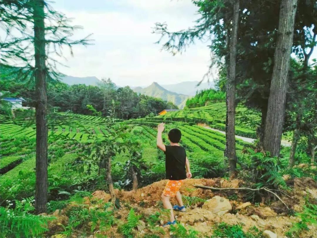 恩施鹤峰旅游攻略一天,恩施鹤峰旅游攻略