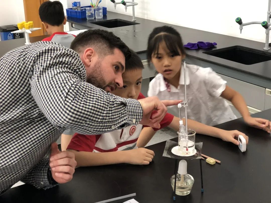 北大青鸟嘉兴实验学校办学许可证,北大嘉兴附属实验学校