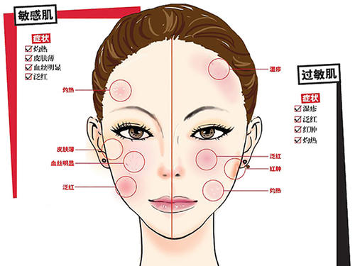 药学博士介绍化妆品,药学博士保湿护肤品