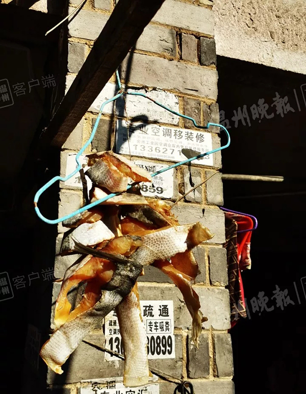 不良商家运送鱼加柴油,不良商贩运输鱼怎么保持存活