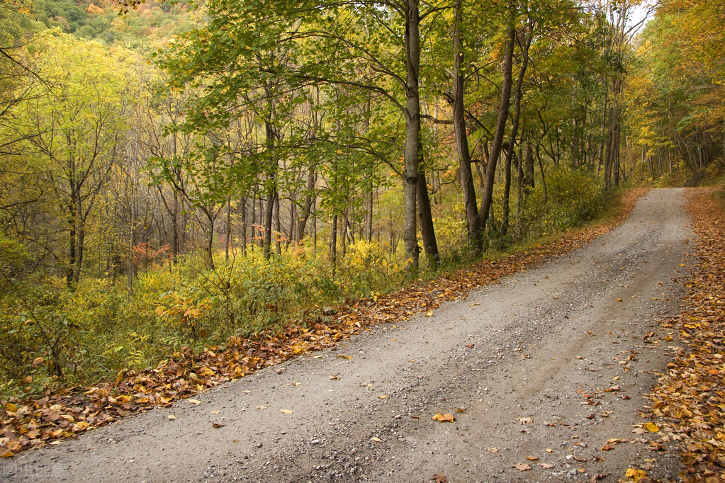 没有限速标志如何确保合法,路上没有限速标志最高可以跑多少
