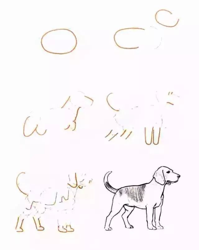 你想要的简笔画教程,一学就会的简笔画教程