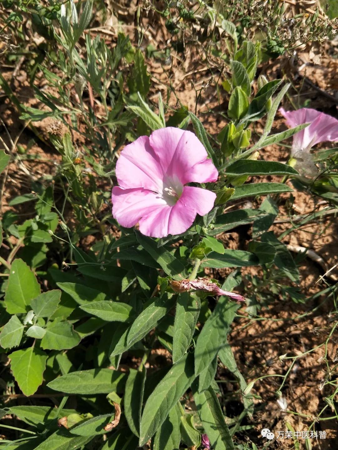 跟我回家在线免费看,跟我回家免费看