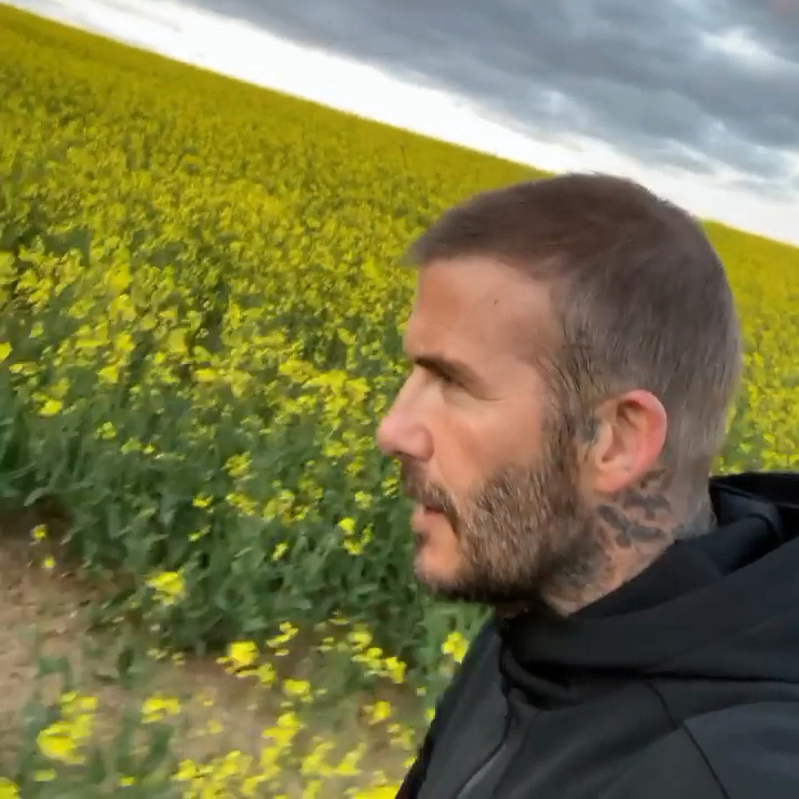 贝克汉姆哭泣的照片,贝克汉姆大哭视频